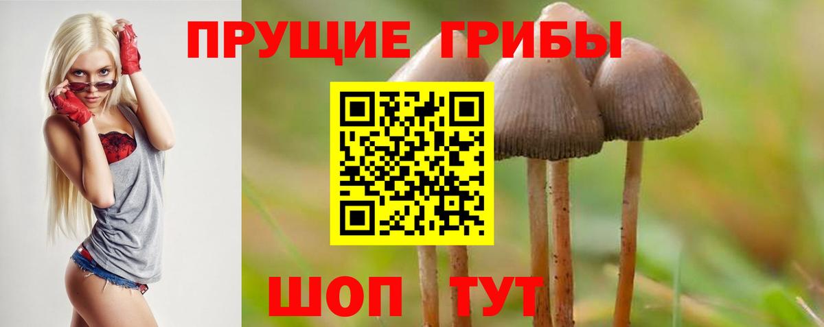 Псилоцибиновые грибы мицелий  Вход с VPN  Галлюциногенные грибы мицелий  Курчатов 